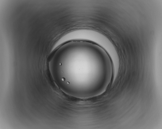 X0000112760556200908201440