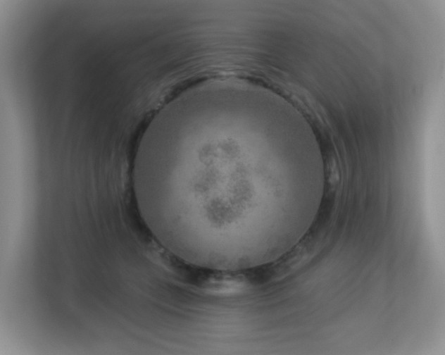 X0000112760559200908201440