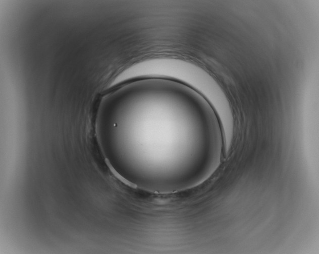 X0000112760560200908201440