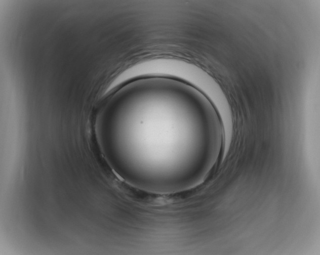 X0000112760562200908201440