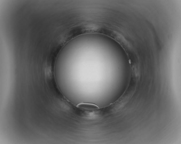X0000112760564200908201440