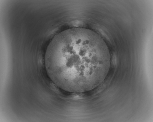 X0000112760569200908201440
