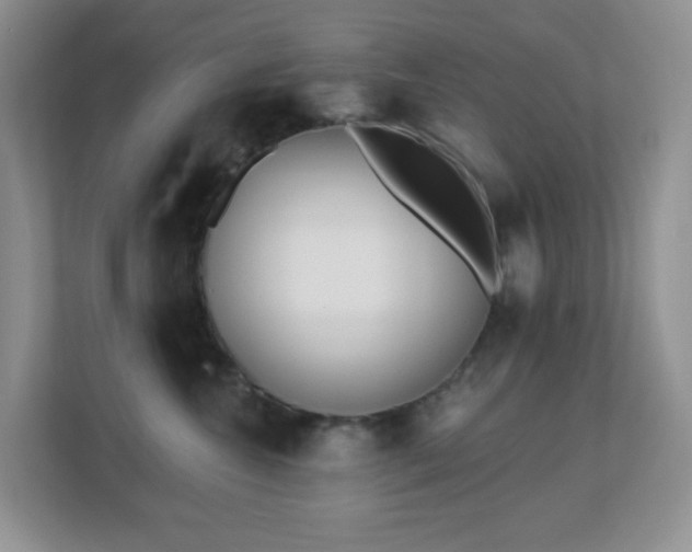 X0000112760572200908201440