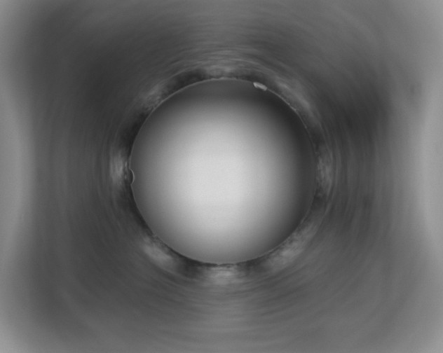 X0000112760574200908201440