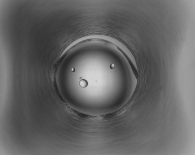 X0000112760576200908201440