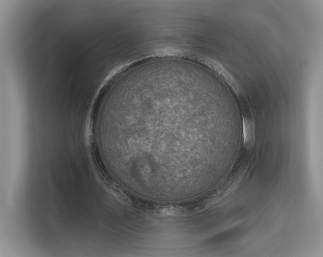 X0000112760579200908201440