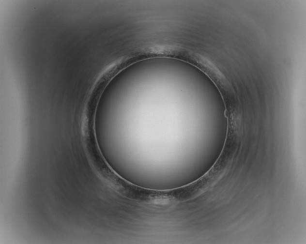 X0000112760587200908201439