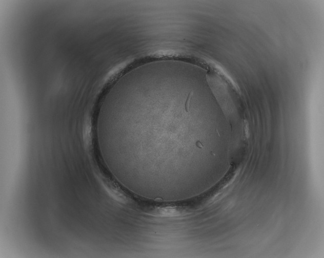 X0000112760588200908201439