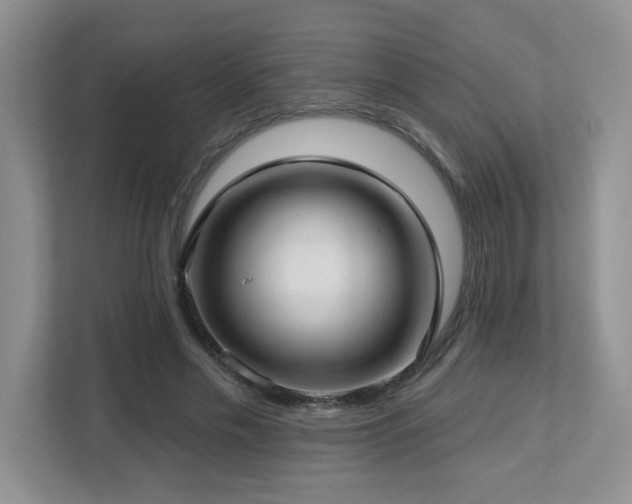 X0000112760589200908201439