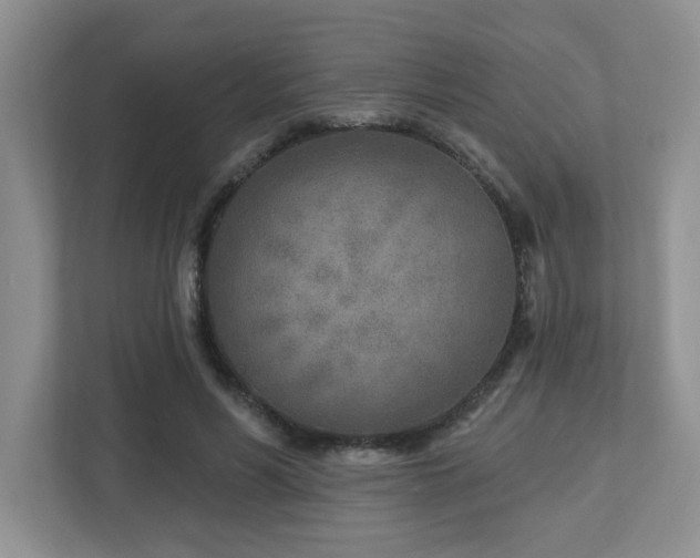 X0000112760590200908201439
