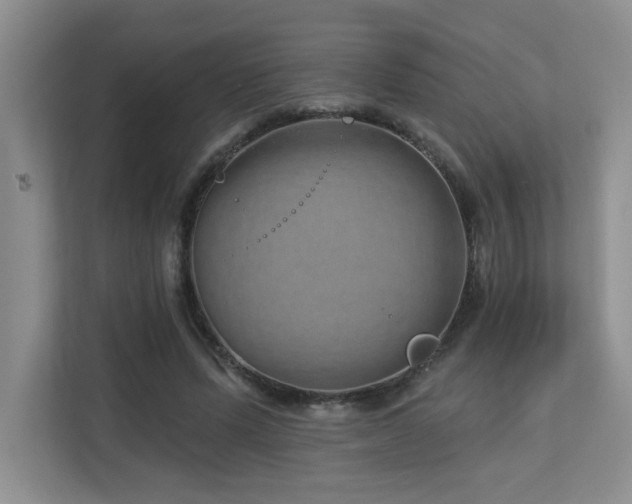 X0000112760591200908201439