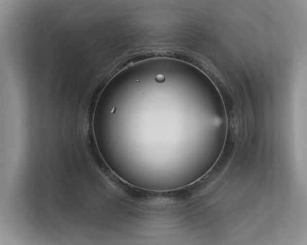 X0000112760593200908201439