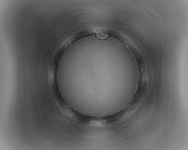 X0000112760595200908201439