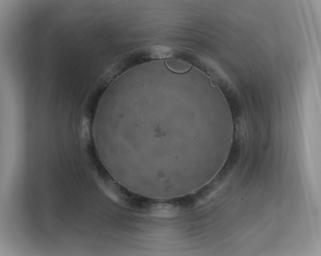X0000112760598200908201439