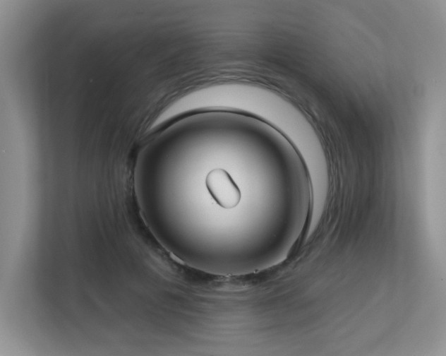 X0000112760601200908201439