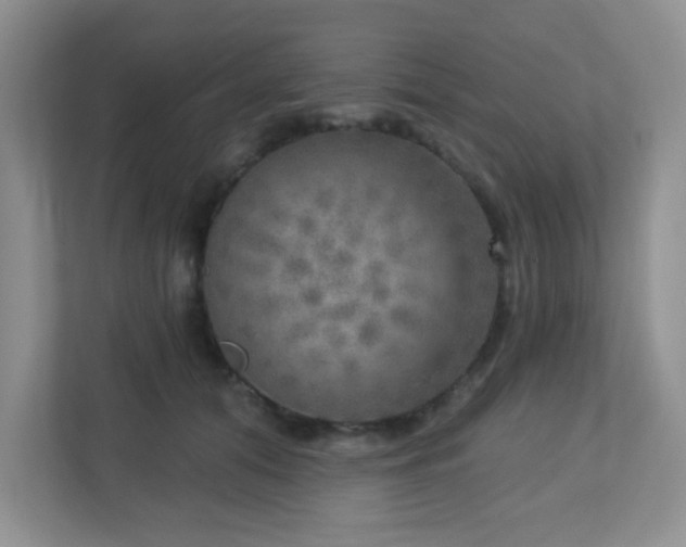 X0000112760608200908201439