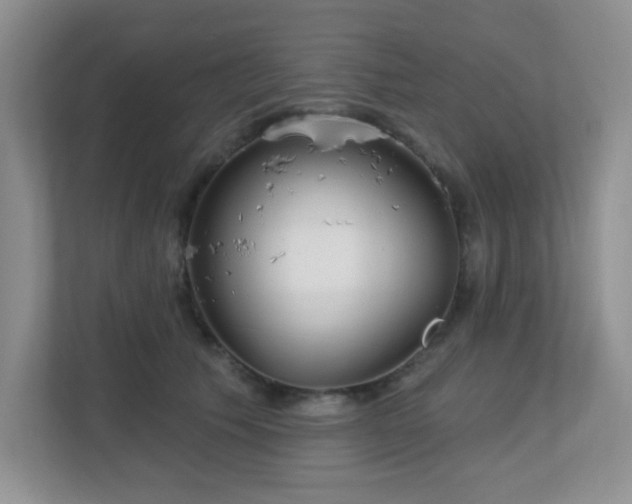X0000112760609200908201439