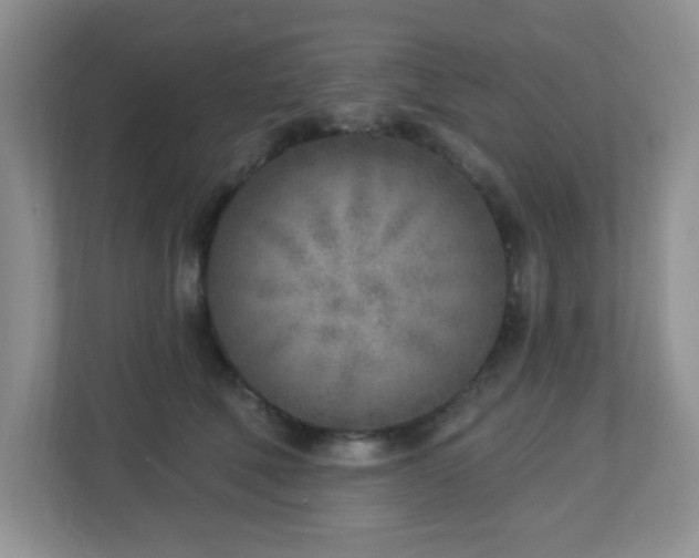 X0000112760610200908201439