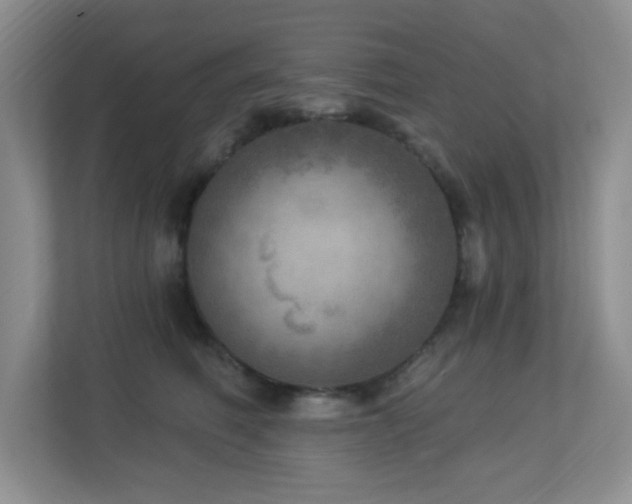 X0000112760614200908201439