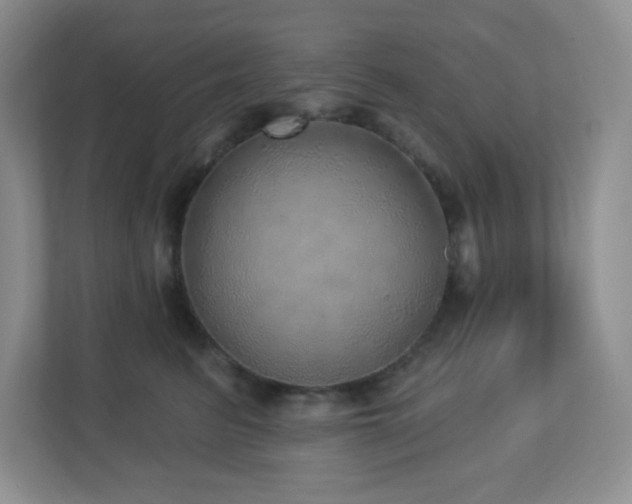 X0000112760615200908201439