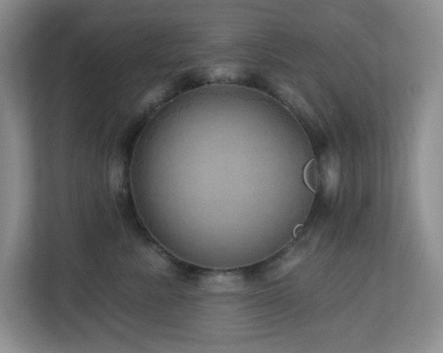 X0000112760619200908201439