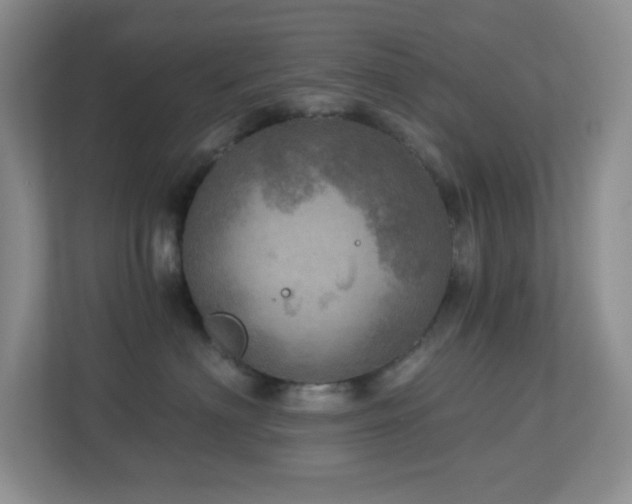 X0000112760622200908201439