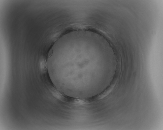 X0000112760624200908201439