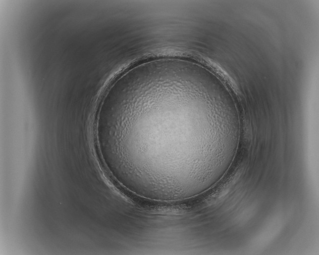 X0000112760625200908201438