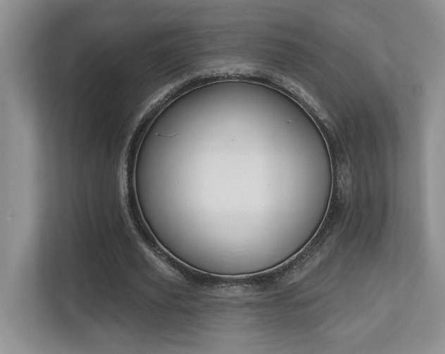 X0000112760629200908201438