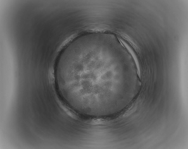 X0000112760634200908201438