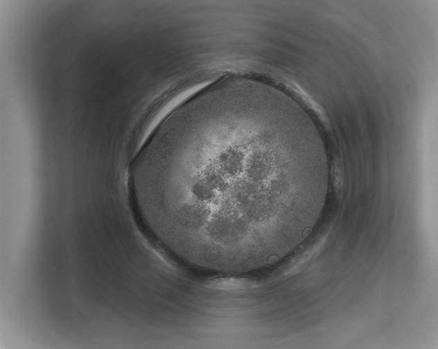 X0000112760637200908201439