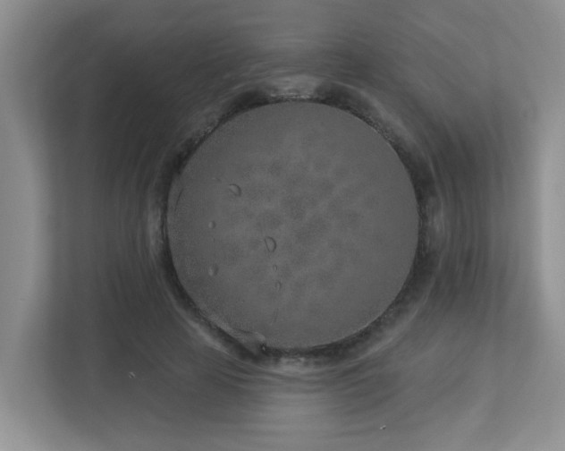 X0000112760641200908201439