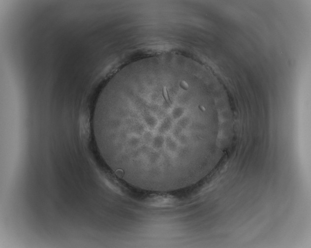 X0000112760642200908201439