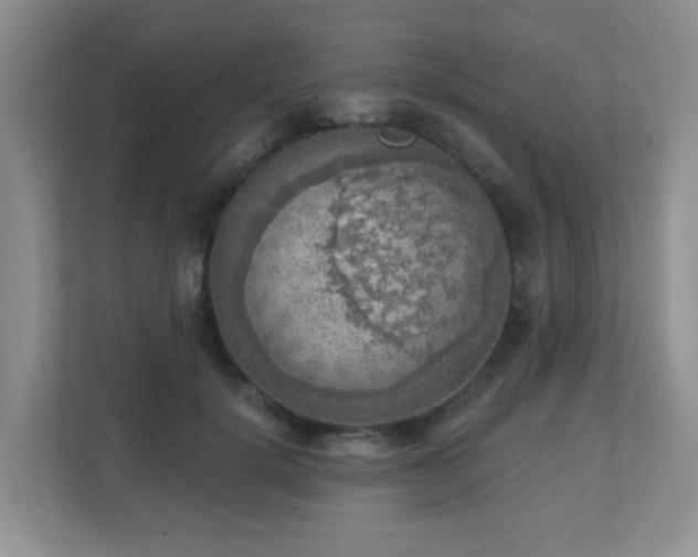 X0000112760652200908201439