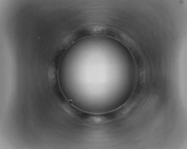 X0000112760654200908201439