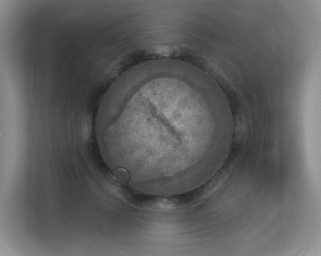 X0000112760656200908201439