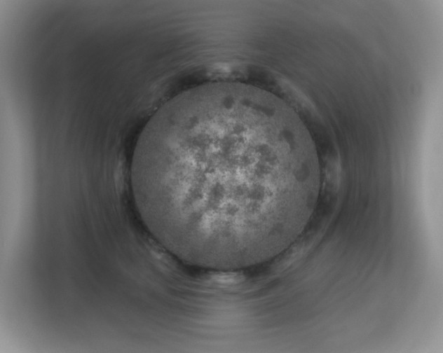 X0000112760659200908201439