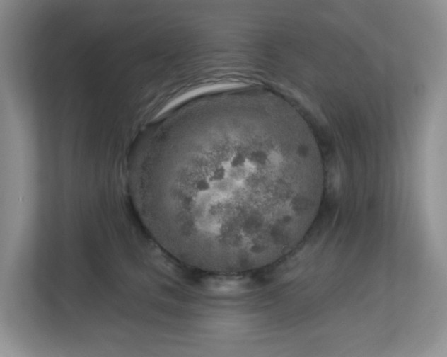 X0000112760661200908201439