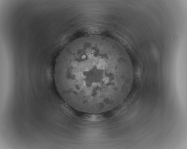 X0000112760663200908201439