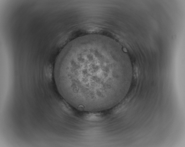 X0000112760664200908201439