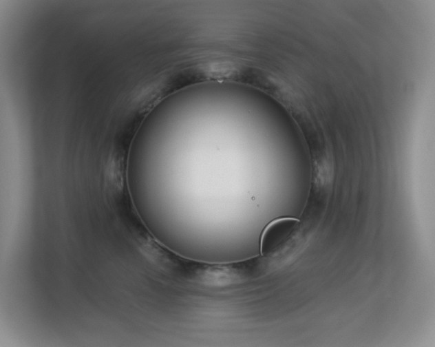 X0000112760666200908201439