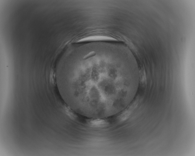 X0000112760669200908201439