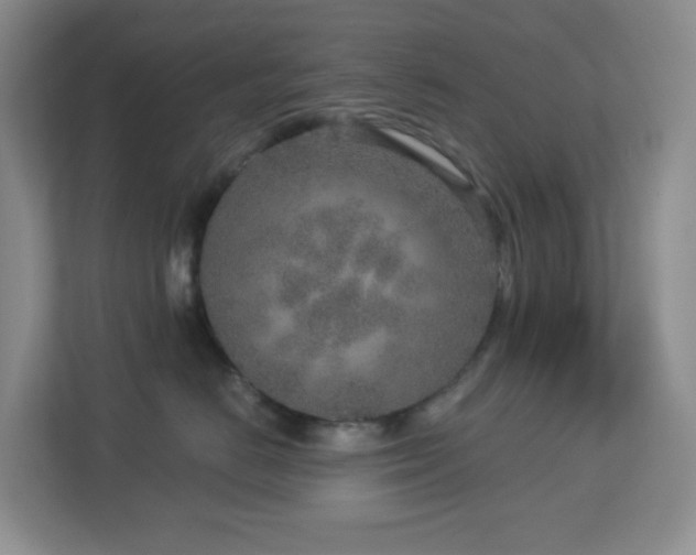 X0000112760670200908201439