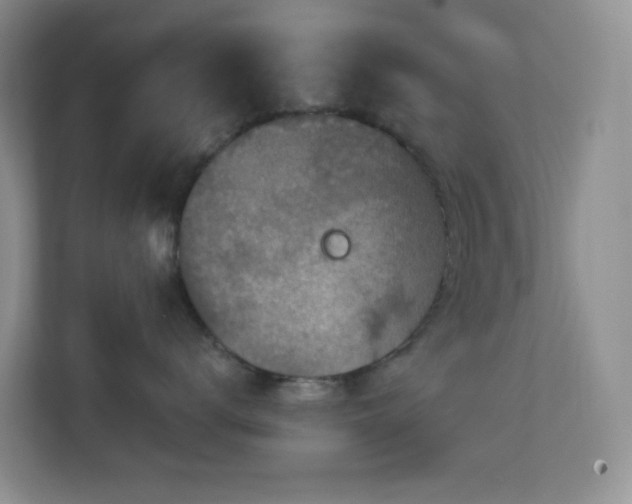 X0000112760672200908201439