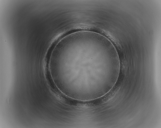 X0000112760679200908201438