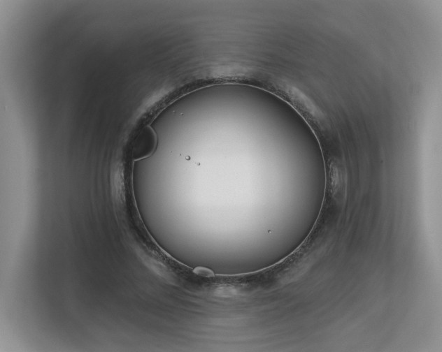 X0000112760684200908201438