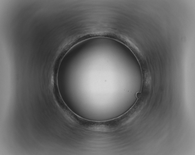 X0000112760685200908201438