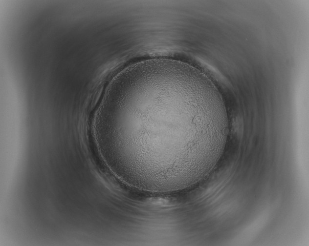 X0000112760687200908201438