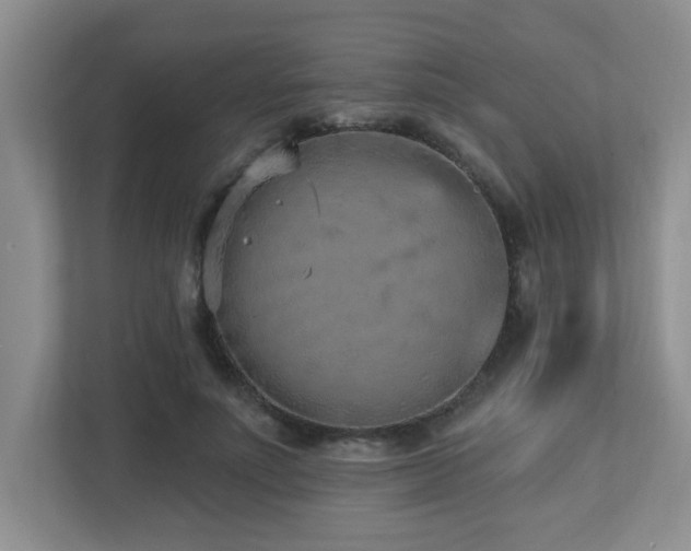 X0000112760691200908201438