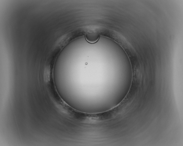 X0000112760694200908201438